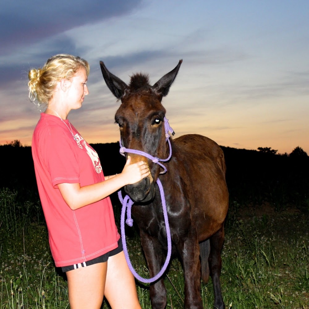Meet your Posher, Danika